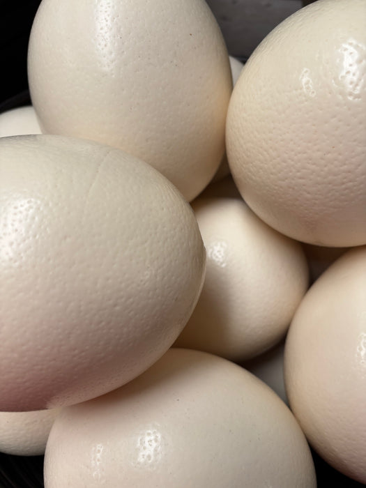 Ostrich Eggs in Bamboo Basket