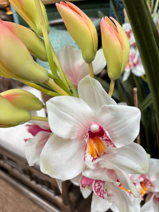 Dramatic Real-Look Pink and Yellow Cymbidium in Chinoiserie Planter