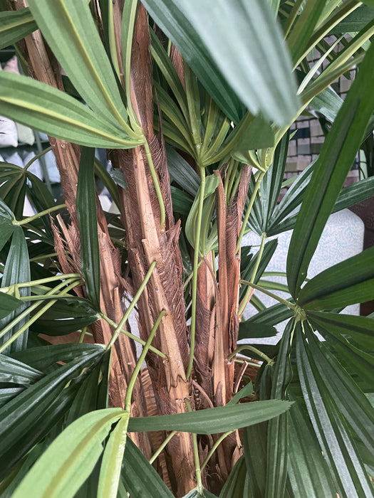 Real-Look Raphis Palm Tree